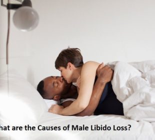 What are the Causes of Male Libido Loss
